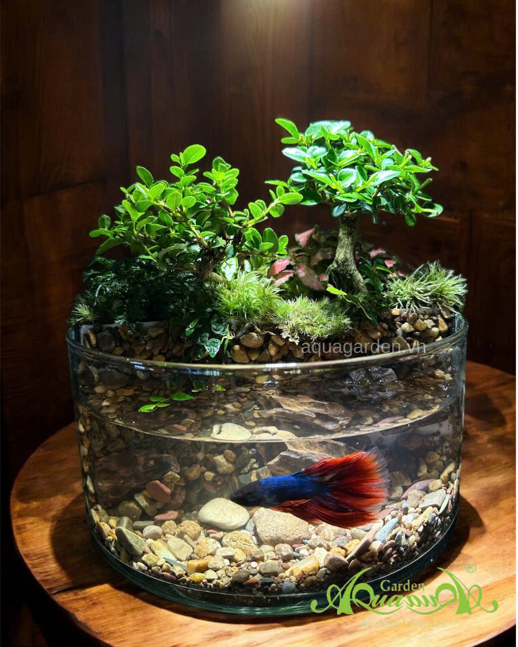 Terrarium 87 - Fengshui Charm 2