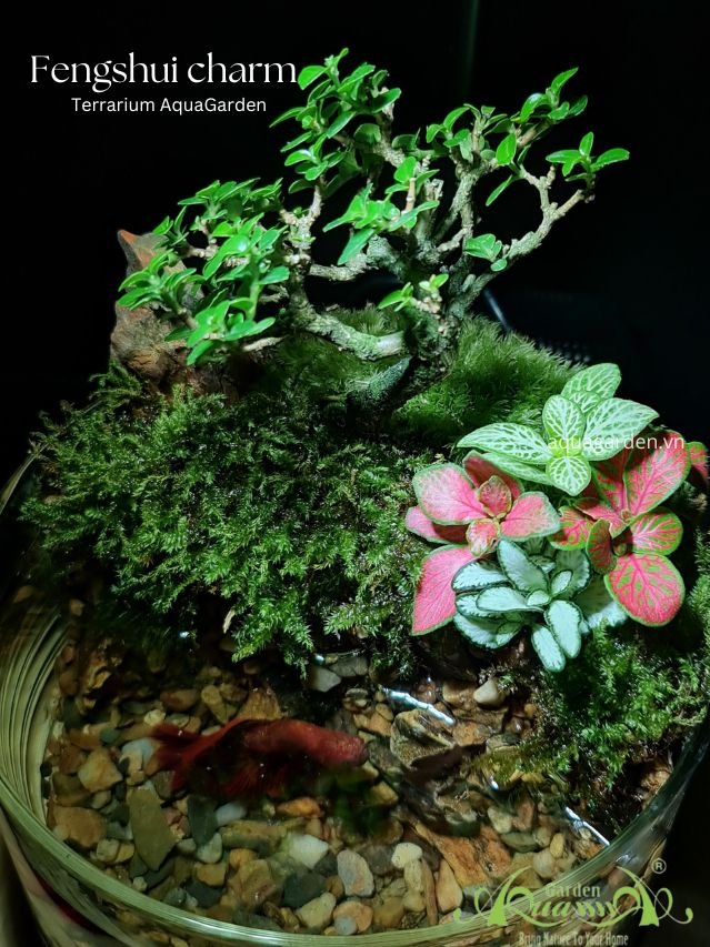 Terrarium 87 - Fengshui Charm 3