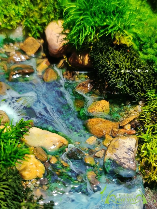 Terrarium 30 - Thác Thiêng 3
