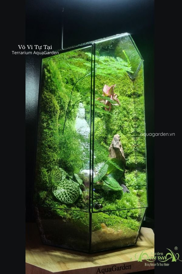 Terrarium 338 - Vô Vi Tự Tại