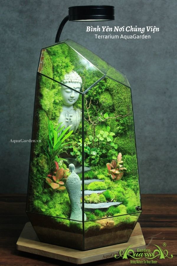 Terrarium 331 - Bình Yên Nơi Chủng Viện 2