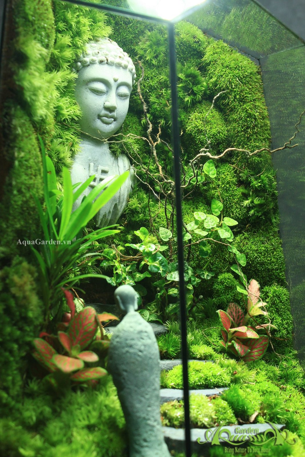 Terrarium 331 - Bình Yên Nơi Chủng Viện 3