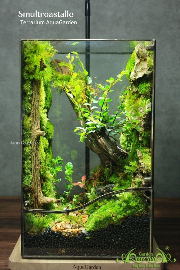 Terrarium 330 - Smultroastalle 2