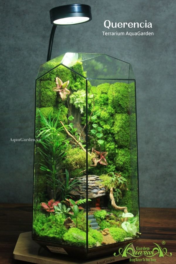 Terrarium 329 - Querencia 2