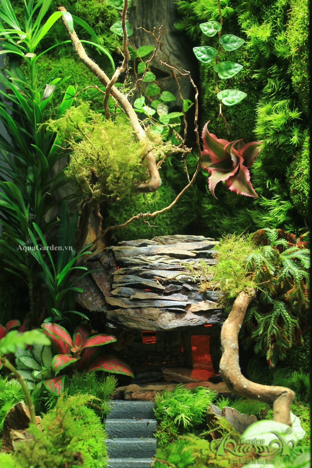 Terrarium 329 - Querencia 3