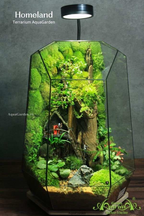 Terrarium 327 - Homeland 2