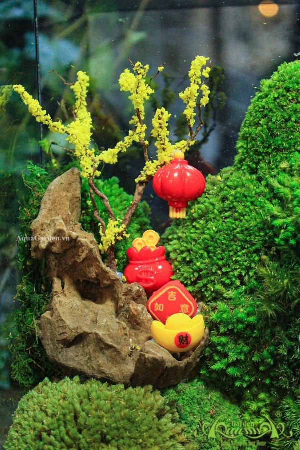 Terrarium 20 - Lộc Xuân 2