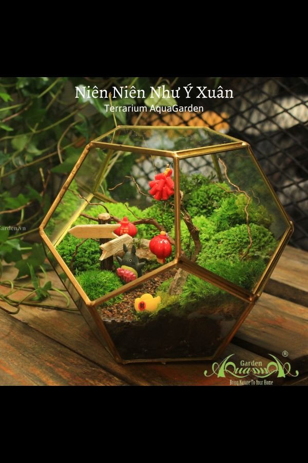 Terrarium 15 - Niên Niên Như Ý Xuân 2