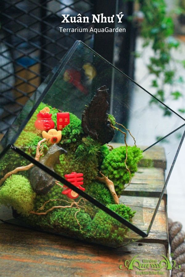 Terrarium 13 - Xuân Như Ý