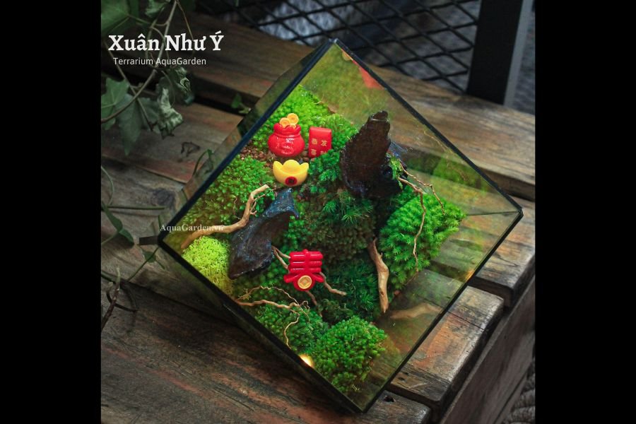 Terrarium 13 - Xuân Như Ý 2