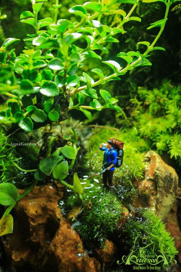 Terrarium 322 - The Climb 3
