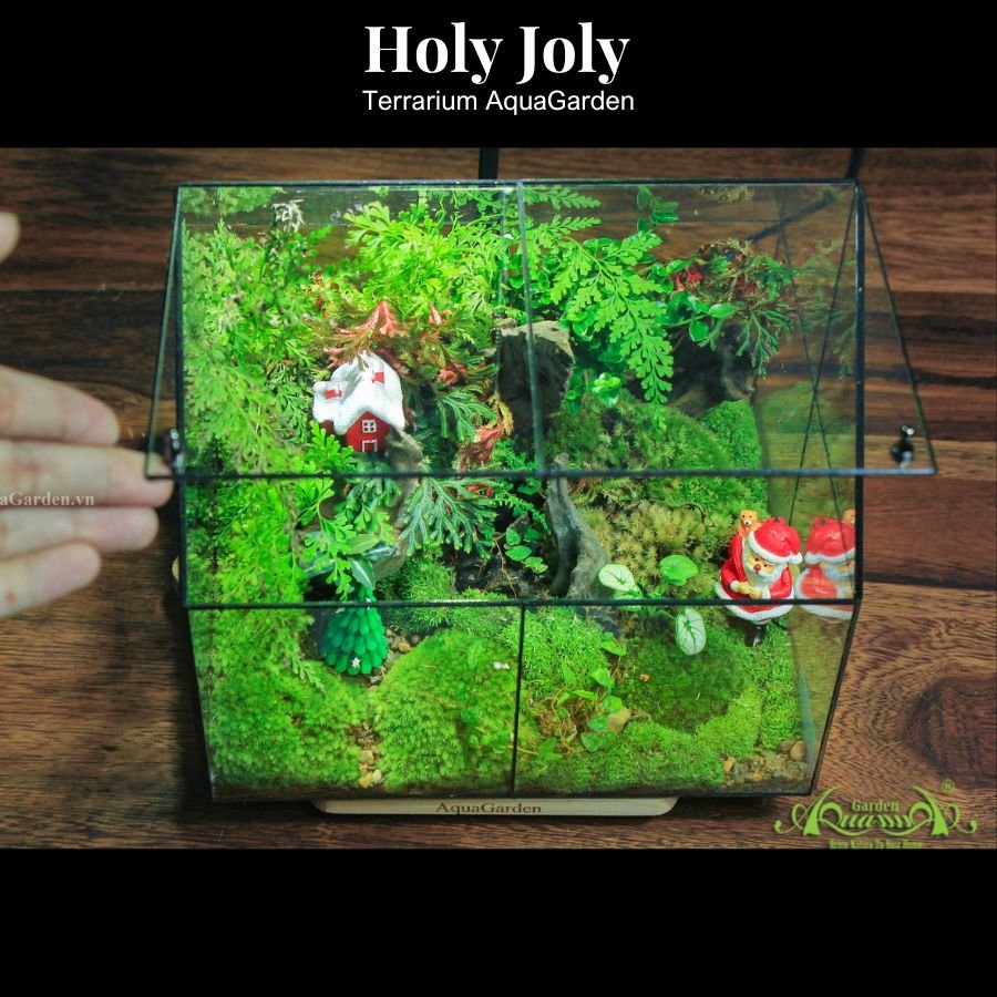 Terrarium 316 - Holy Joly Christmas 3