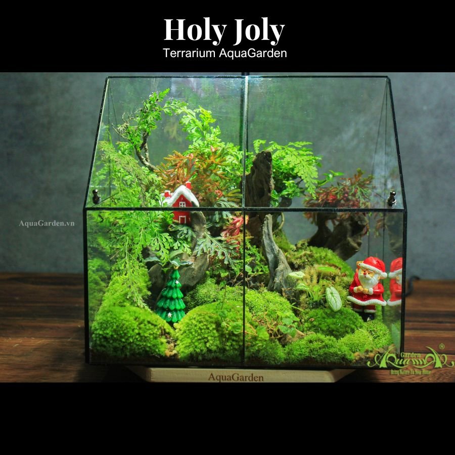 Terrarium 316 - Holy Joly Christmas 2