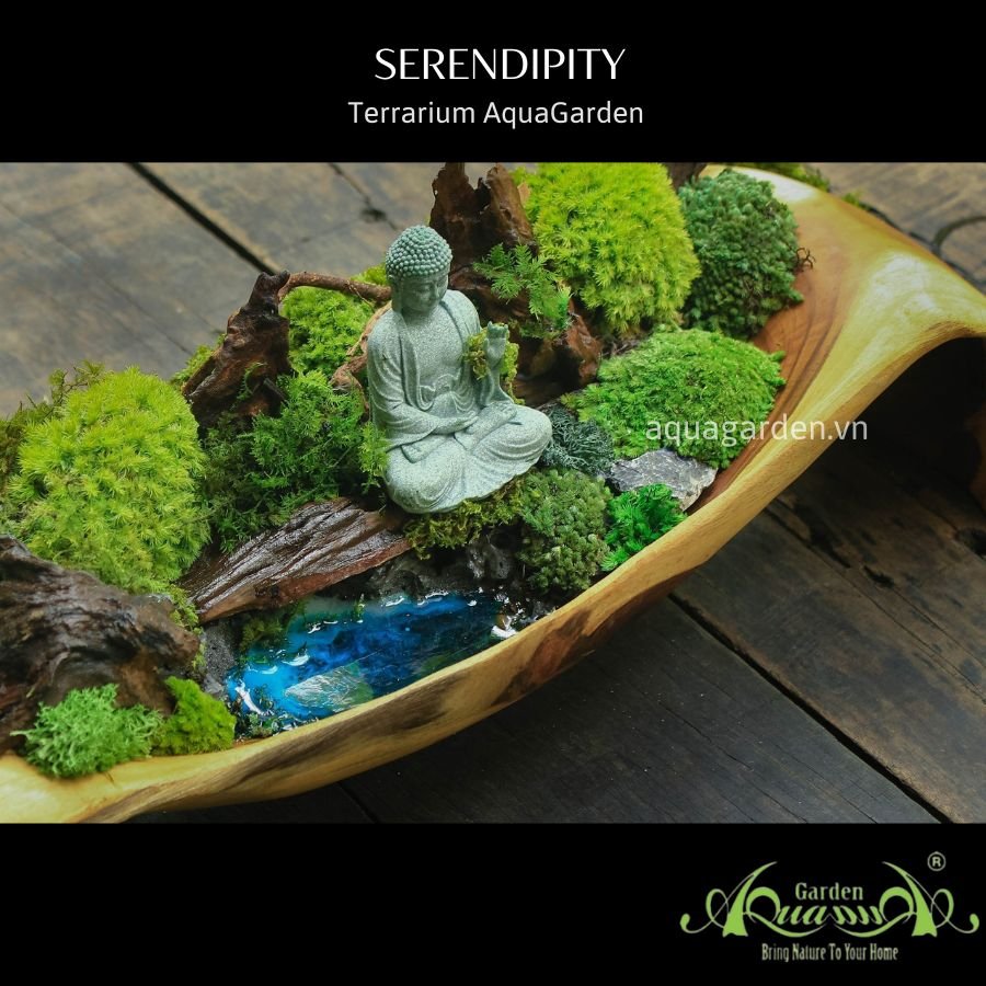 Terrarium 07 - Serenpidity 2