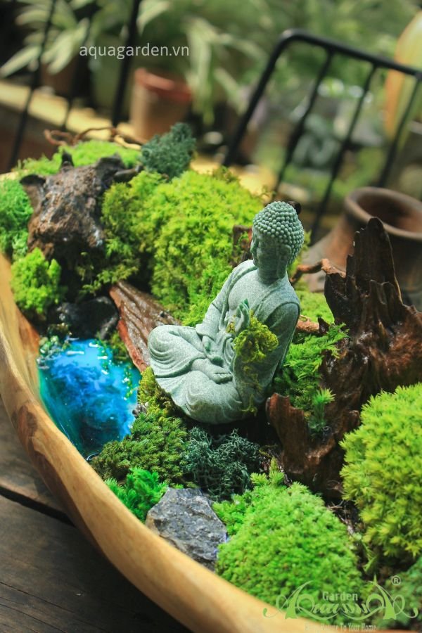 Terrarium 07 - Serenpidity 3