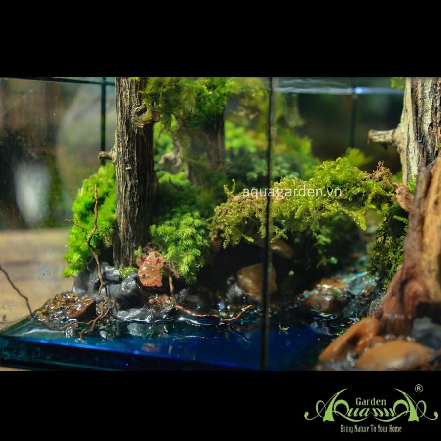Terrarium 03 - HOMETURE 3