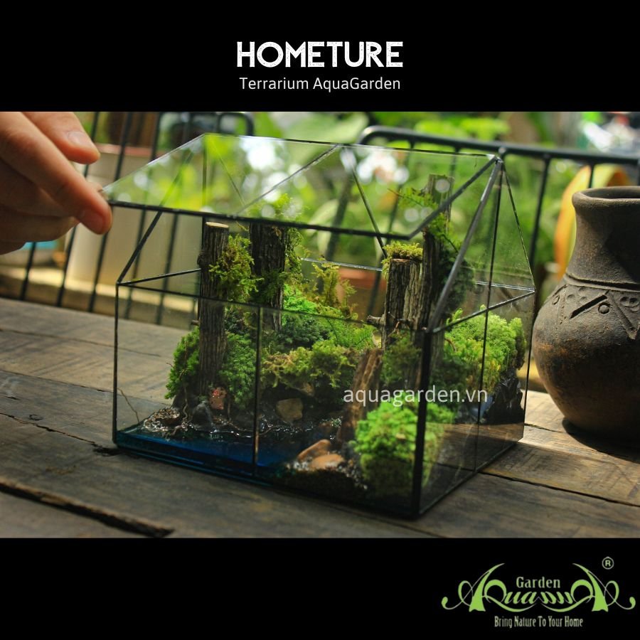 Terrarium 03 - HOMETURE 2