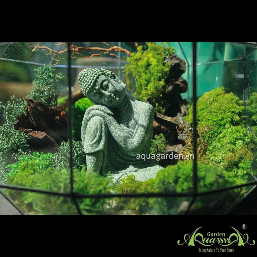 Terrarium 01 - OM 3