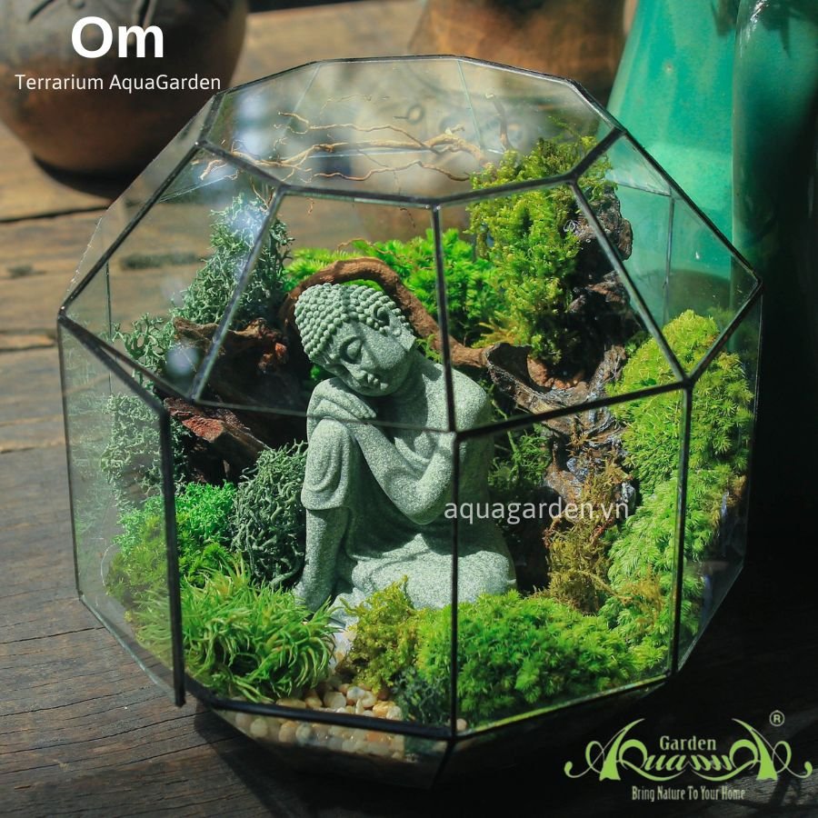 Terrarium 01 - OM 2