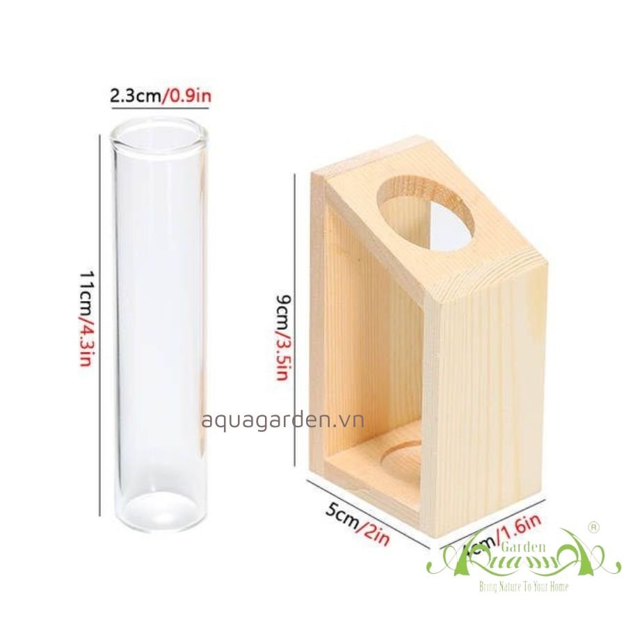 Thủy Tinh Ống Nghiệm - Thủy Tinh AquaGarden