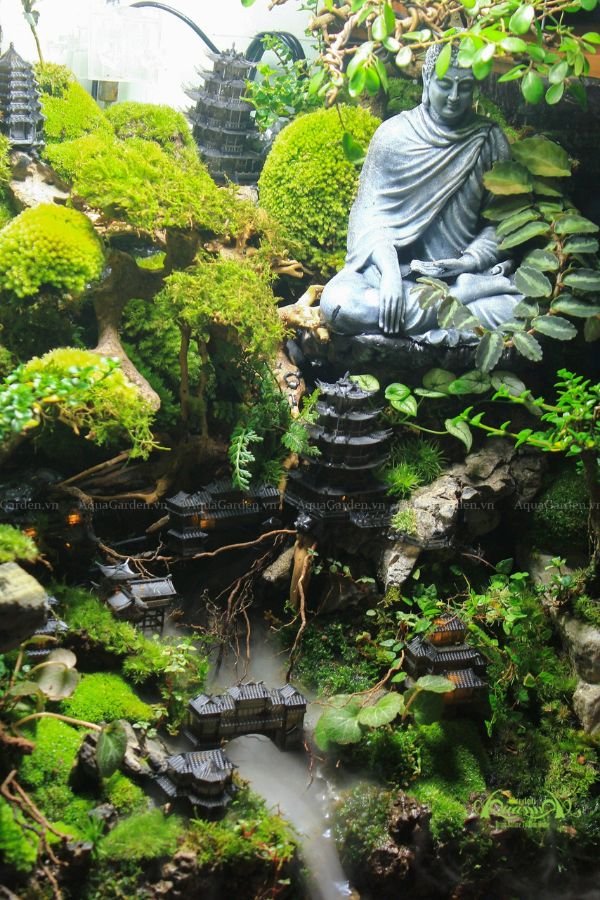 Terrarium 86 - Phượng Hoàng Cổ Trấn 3