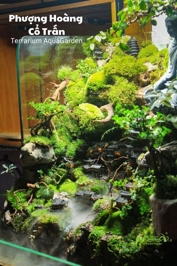 Terrarium 86 - Phượng Hoàng Cổ Trấn 2