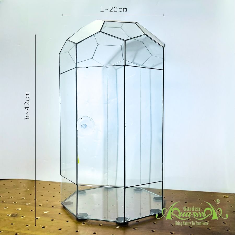 Thủy Tinh 12 - TT Đa Giác 2
