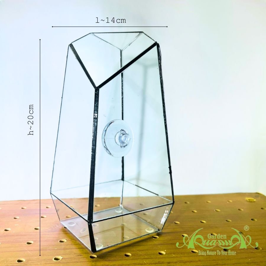 Thủy Tinh 11 - TT Đa Giác