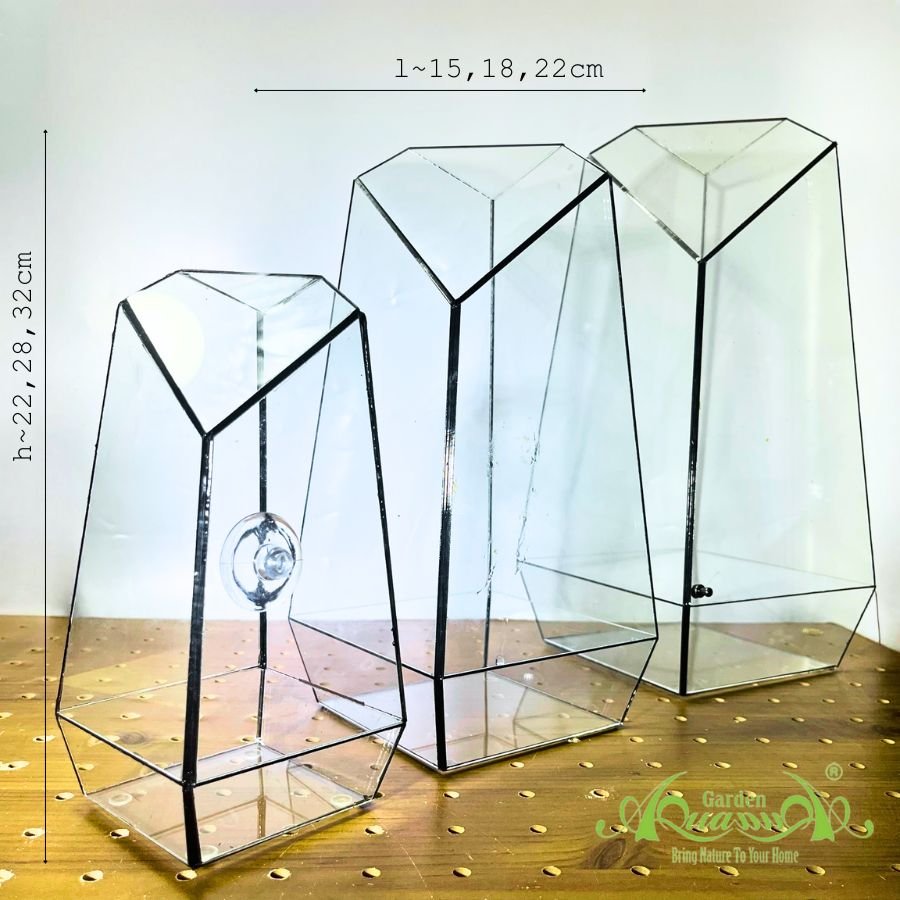 Thủy Tinh 11 - TT Đa Giác 2