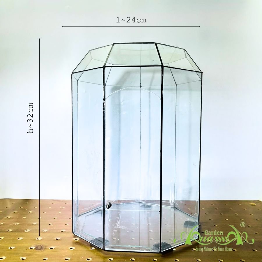 Thủy Tinh 10 - TT Đa Giác 2
