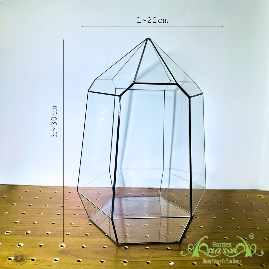 Thủy Tinh 9 - TT Đa Giác 2