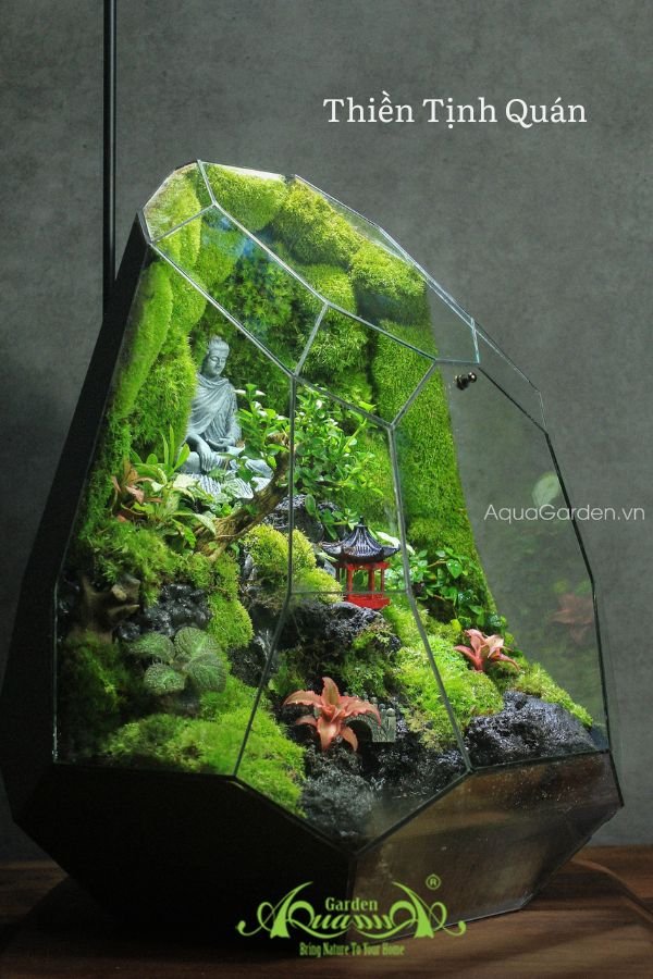 Terrarium 310 - Thiền Tịnh Quán 3