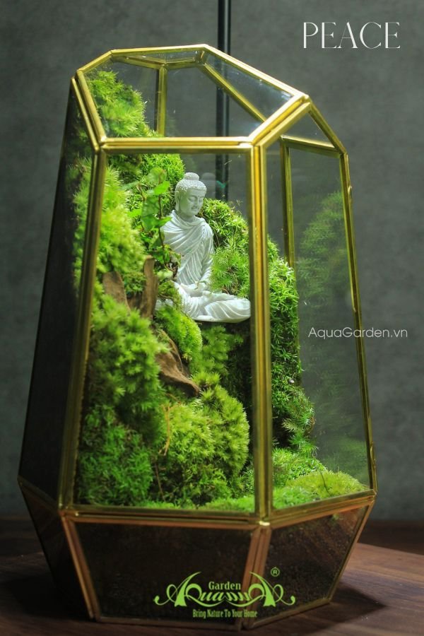Terrarium 307 - Peace 2
