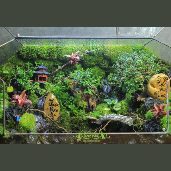 Terrarium 305 - Thuận Theo Ý Trời, Một Đời An Nhiên 3