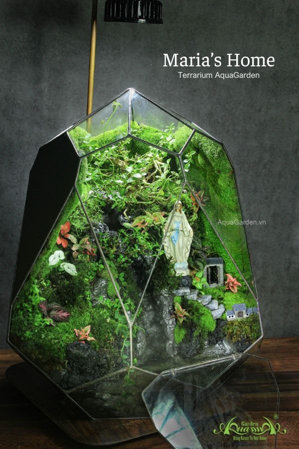 Terrarium 295 - Maria's Home 2