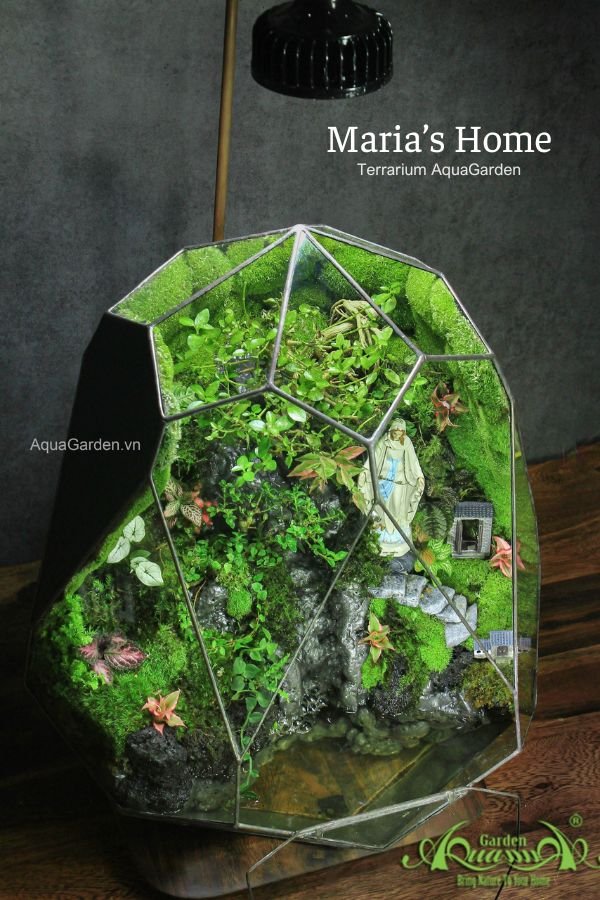 Terrarium 295 - Maria's Home 3