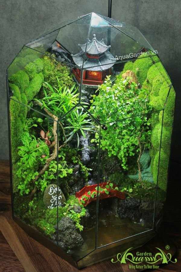Terrarium 293 - Serenity 3