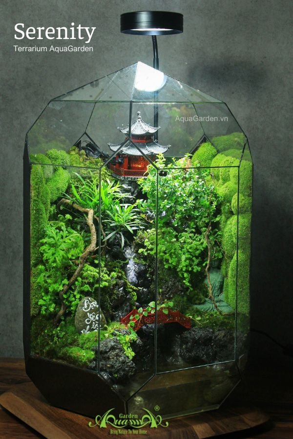 Terrarium 293 - Serenity 2