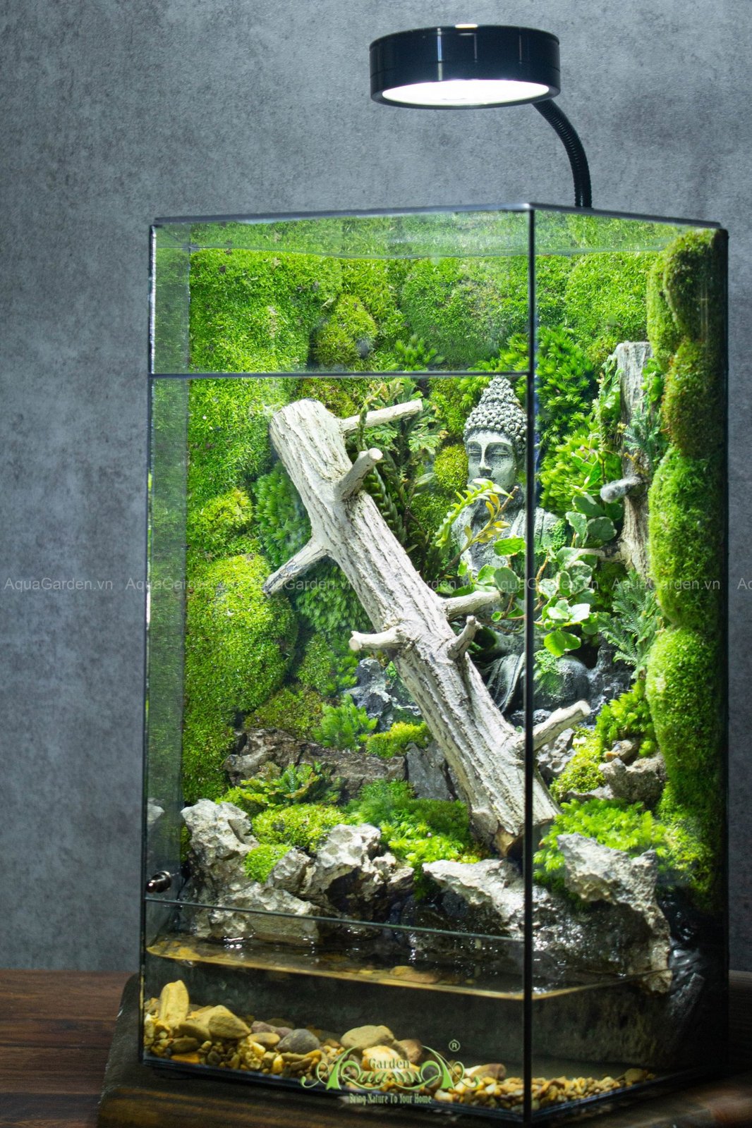 Terrarium 292 - Thiền Tự Quán 2
