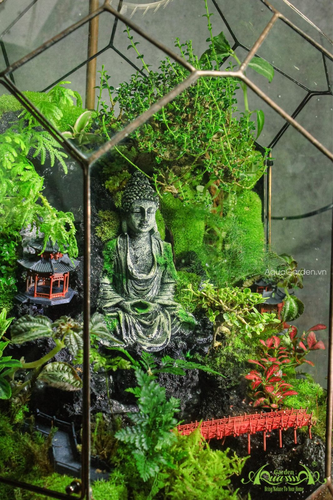Terrarium 284 - Bồng Lai Xứ 3