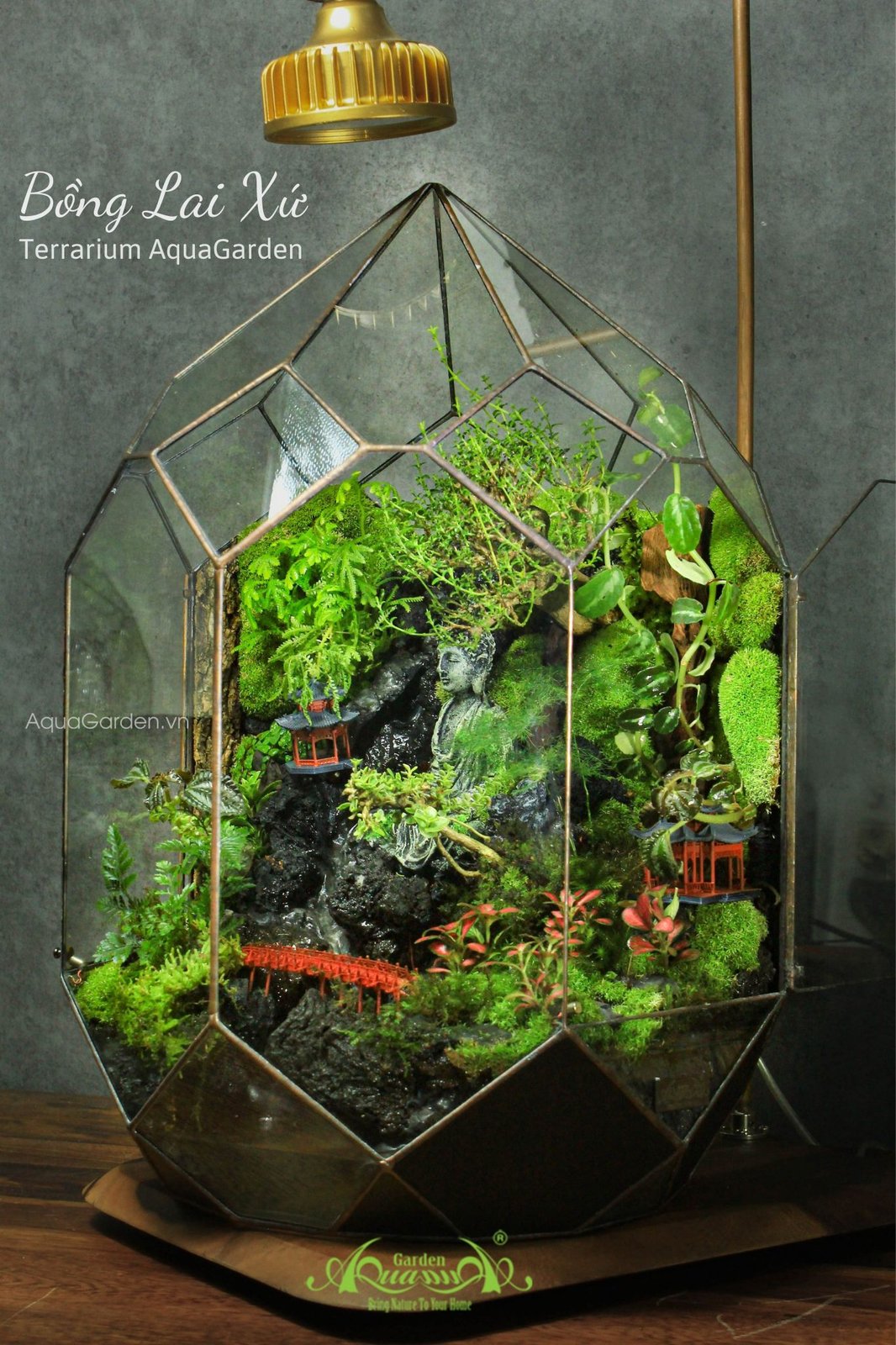 Terrarium 284 - Bồng Lai Xứ 2