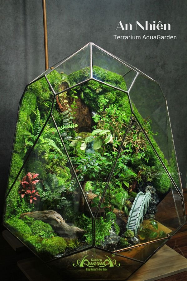 Terrarium 283 - An Nhiên 2