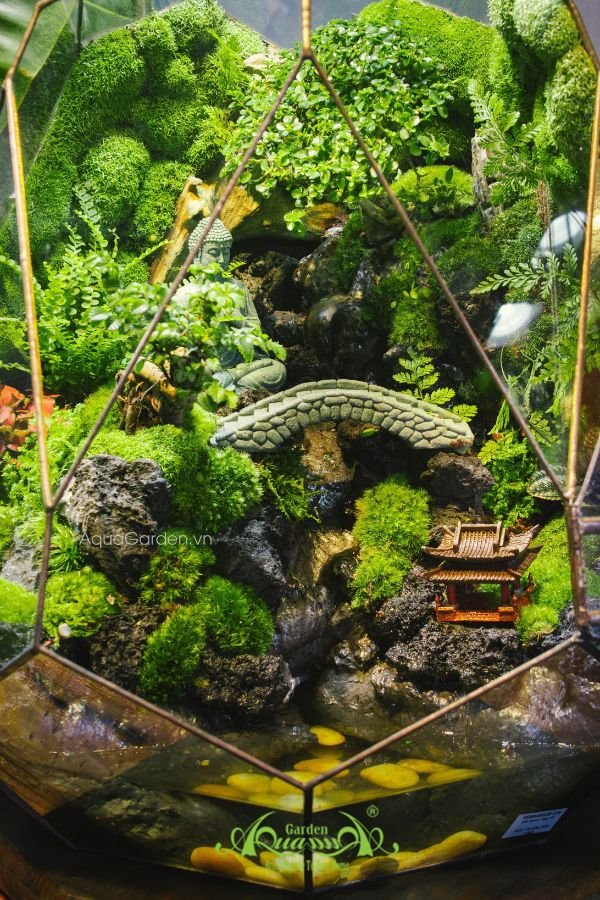 Terrarium 282 - Thiên Cảnh 2