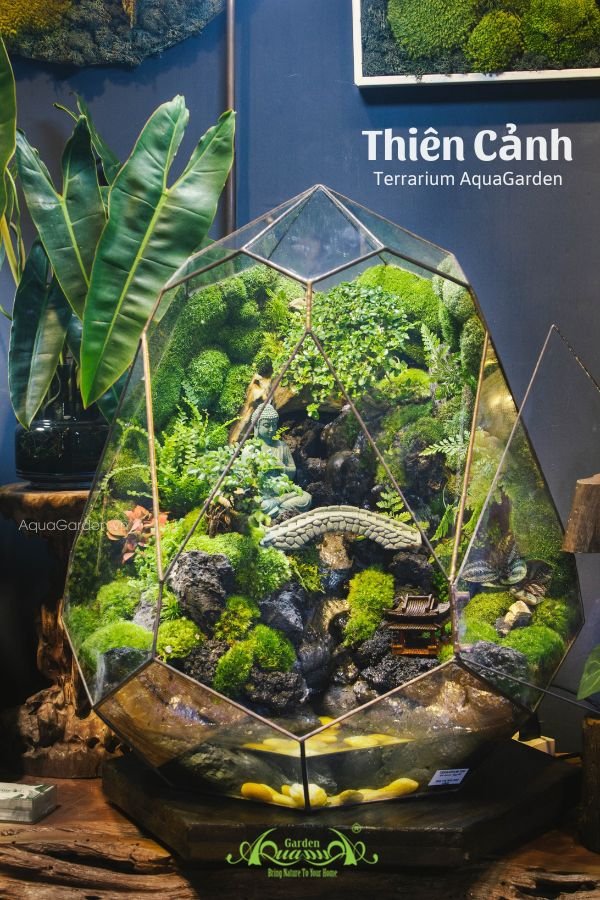 Terrarium 282 - Thiên Cảnh
