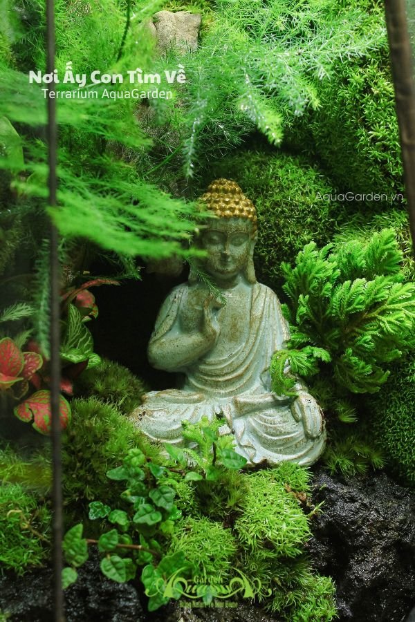 Terrarium 278 - Nơi Ấy Con Tìm Về 3