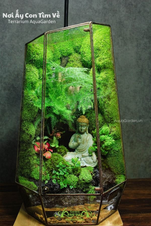 Terrarium 278 - Nơi Ấy Con Tìm Về