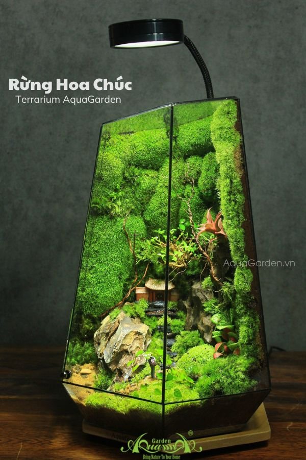 Terrarium 274 - Rừng Hoa Chúc 2