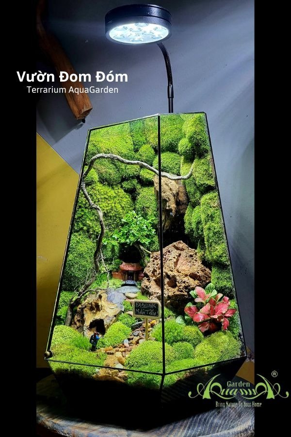 Terrarium 274 - Rừng Hoa Chúc 3