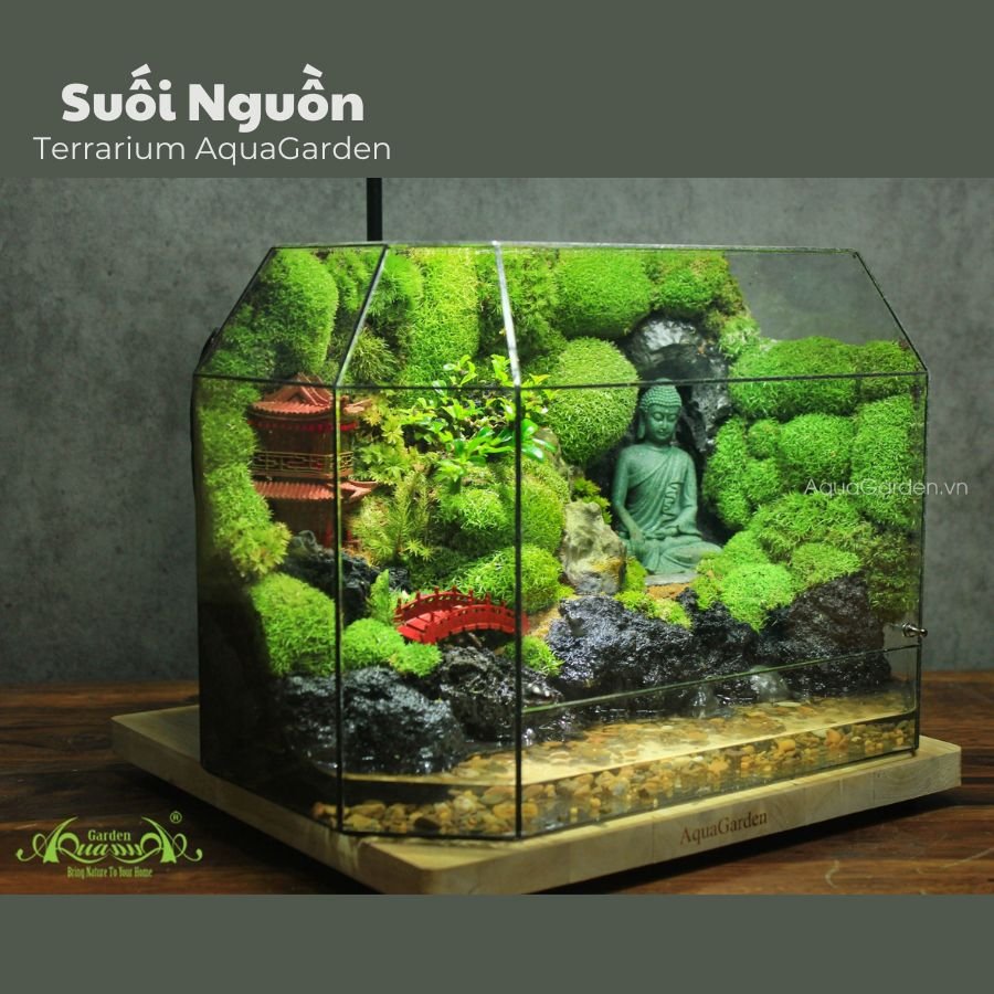 Terrarium 273 - Suối Nguồn 2