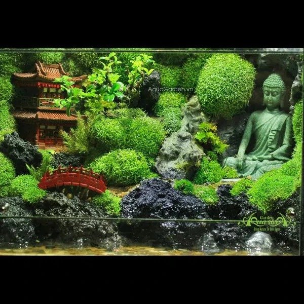 Terrarium 273 - Suối Nguồn 3